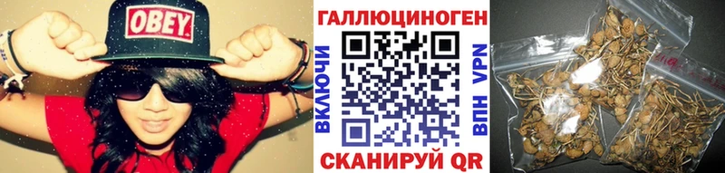 Галлюциногенные грибы Psilocybine cubensis  Тверь 