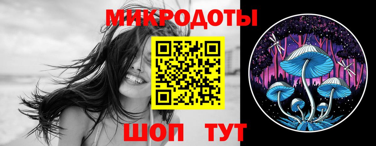 Псилоцибиновые грибы Cubensis  Вход с VPN  Тверь 