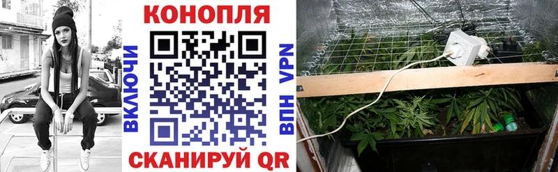 Бошки Шишки индика  Тверь 
